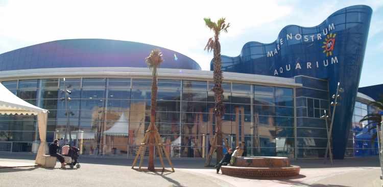 L'aquarium Mare Nostrum à Montpellier