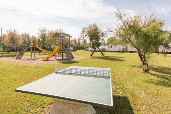 Le tennis de table